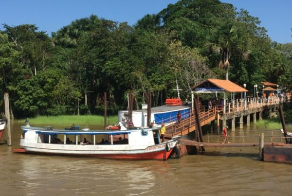 experiências na Amazônia | Brazilian Amazon