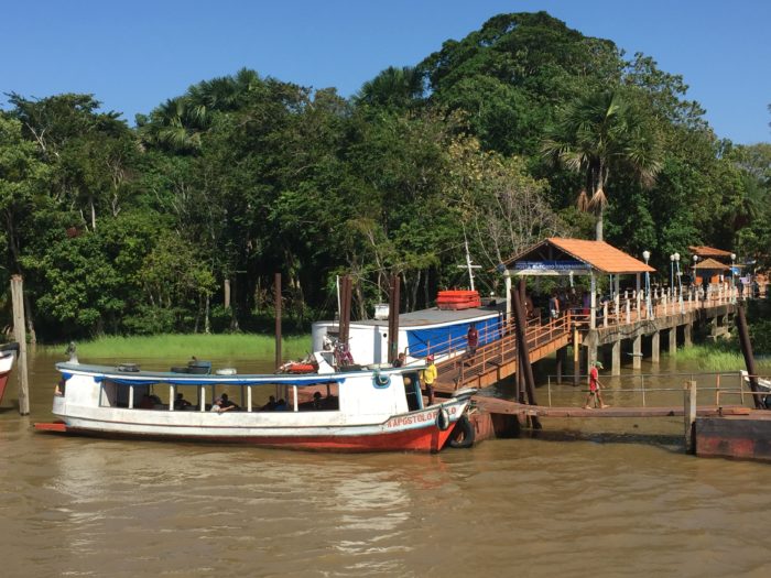 experiências na Amazônia | Brazilian Amazon