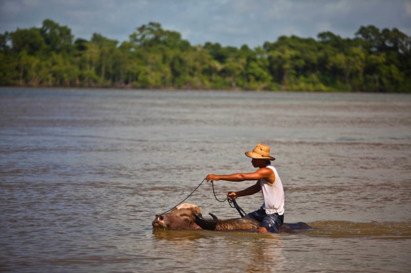 Ilha de Marajó