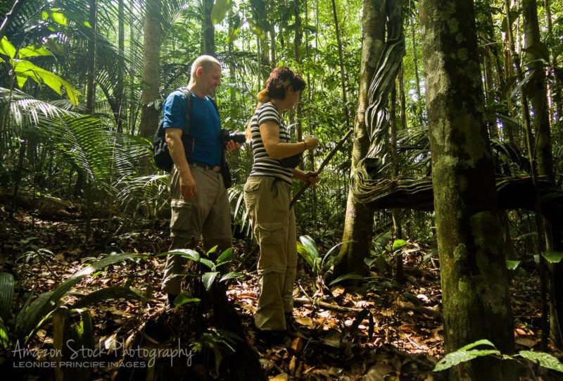 Ano Novo na Amazônia