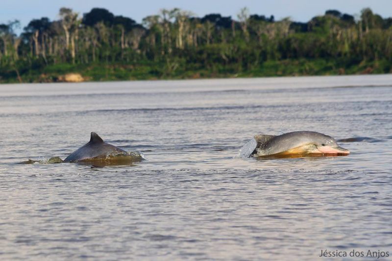 turismo responsáve no Brasil l | responsible travel in Brazil