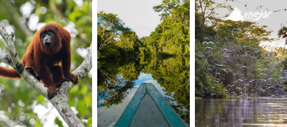 réveillon na Amazônia