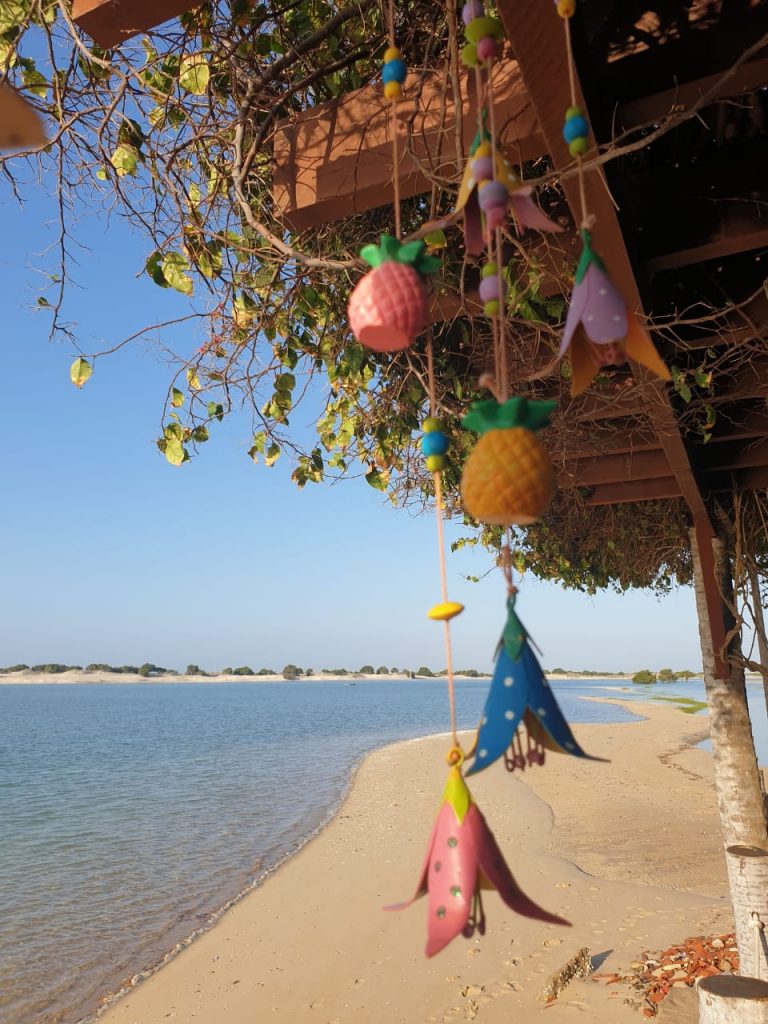 Galinhos 11 Capa Roteiro Galinhos