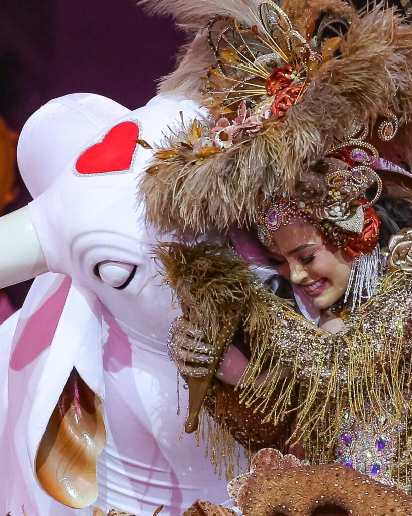 Amazonastur - Boi Garantido - Lucas Silva (1) - Copia boi garantido - foto Amazonastur