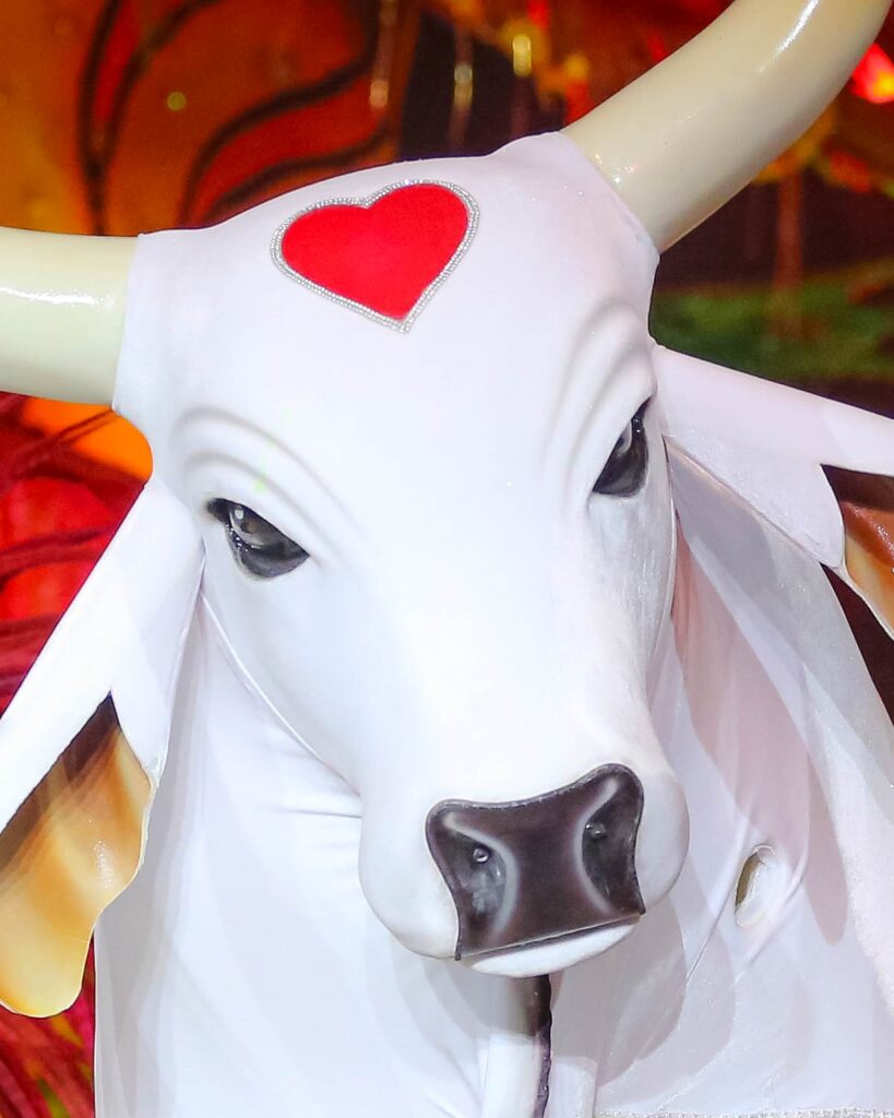 Boi Garantido - Foto Lucas Silva -Amazonastur